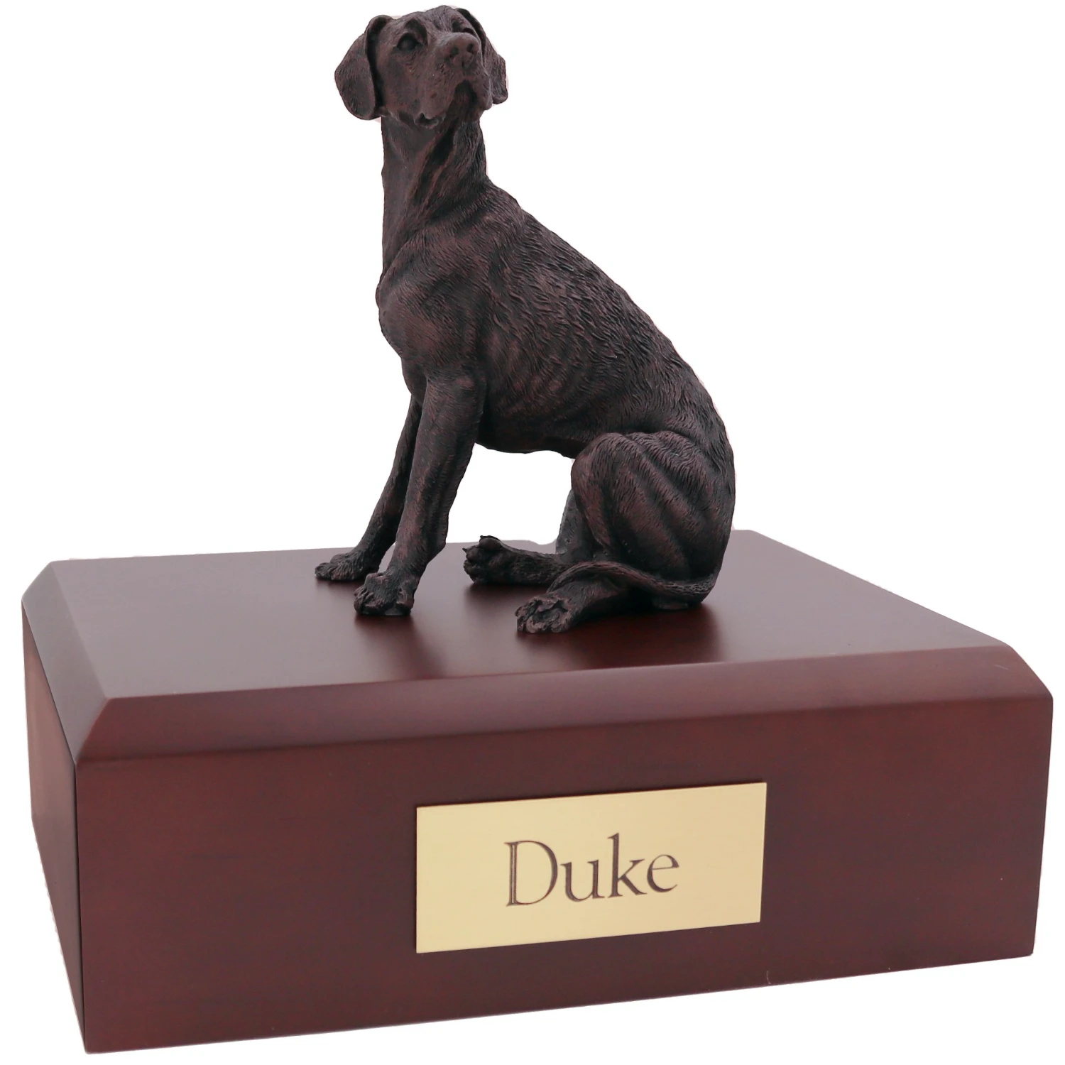 Sitting great dane bronze look dog figurine on wood cremation urn