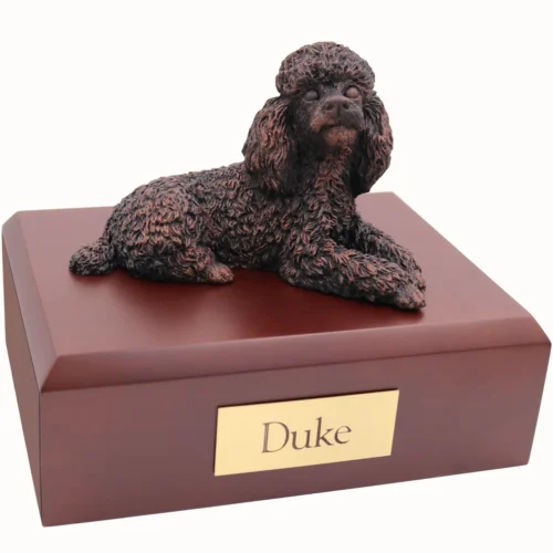 Laying poodle bronze look dog figurine on wood cremation urn