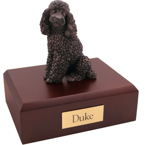 Sitting poodle bronze look dog figurine on wood cremation urn