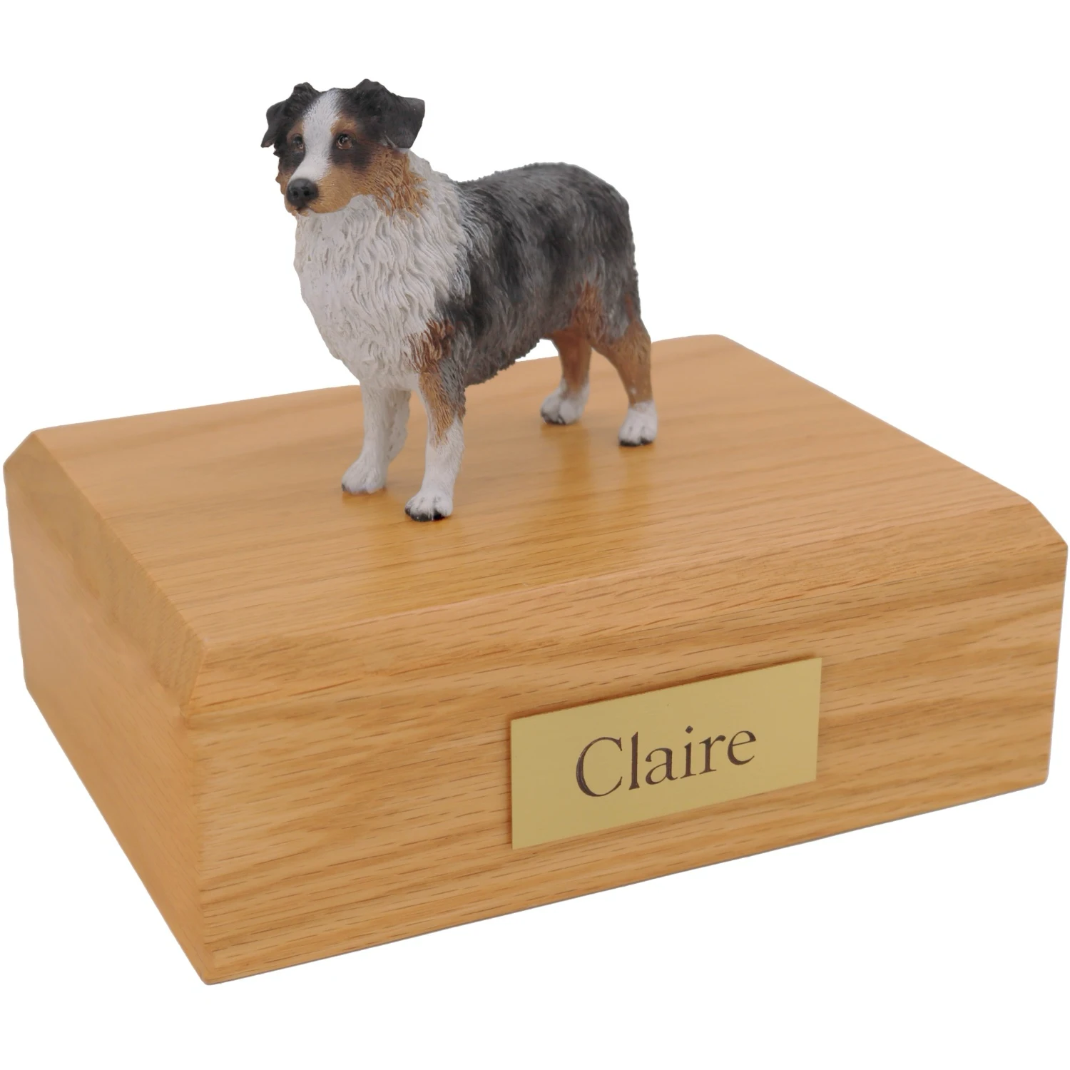 Standing docked blue australian shepherd dog figurine on wood cremation urn