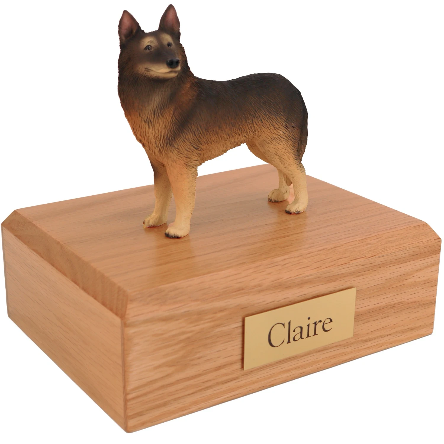 Standing belgian tervuren dog figurine on wood cremation urn