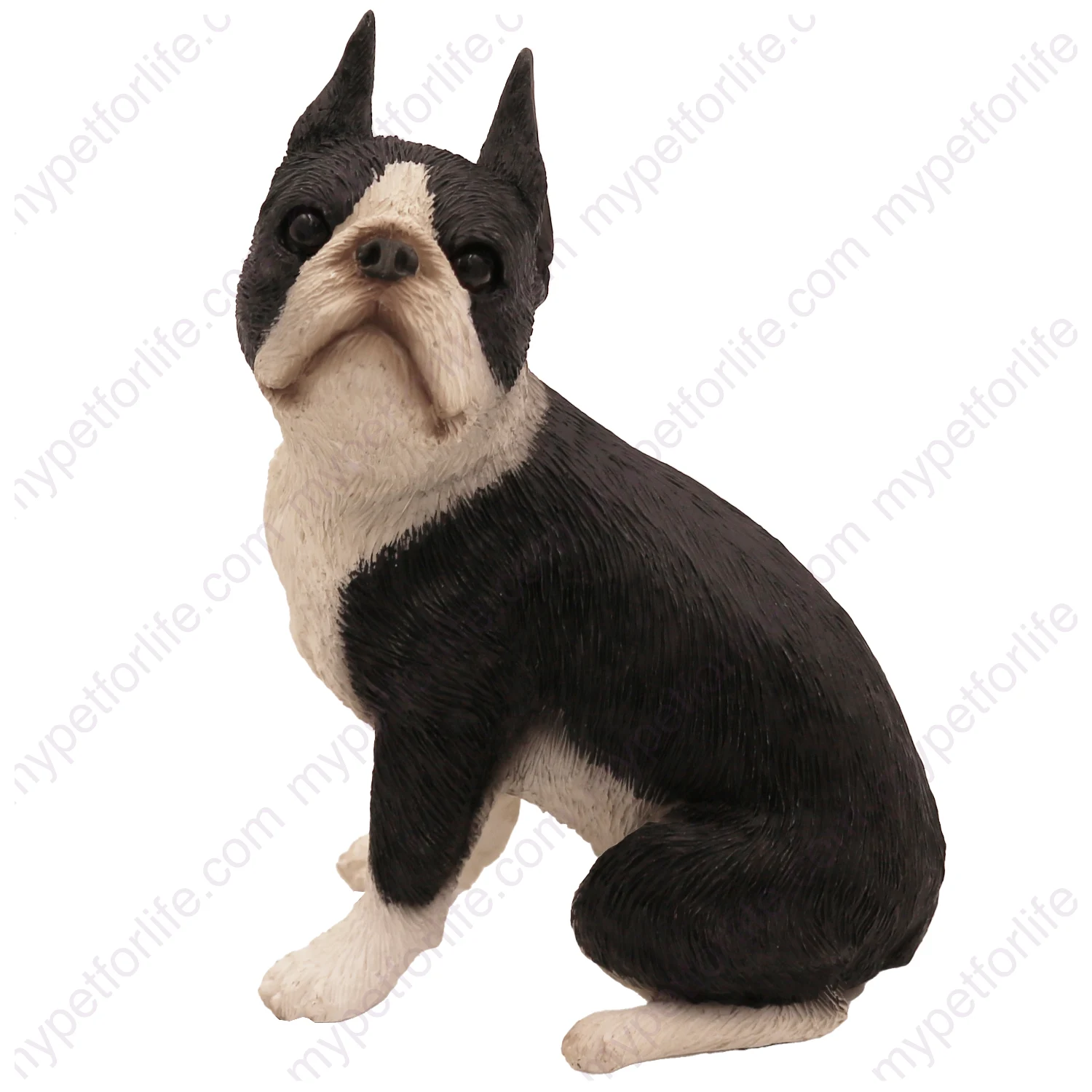 Sitting black and white boston terrier dog figurine