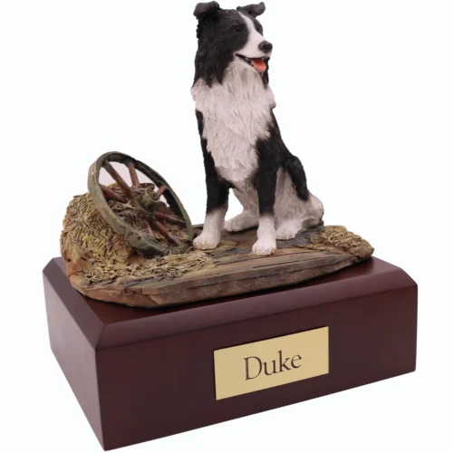 Sitting Border Collie dog figurine on wood cremation urn