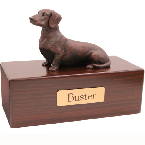 Short haired Dachshund dog bronze look figurine wood memorial cremation urn, walnut finish