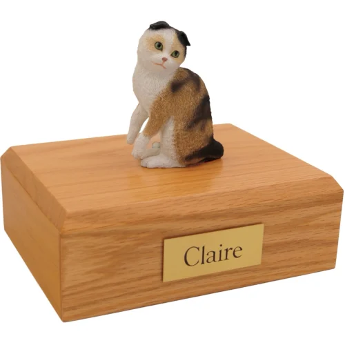 Sitting tortie and white Scottish Fold cat figurine on wood cremation urn