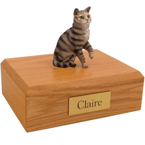 Sitting brown shorthair tabby cat figurine on wood cremation urn
