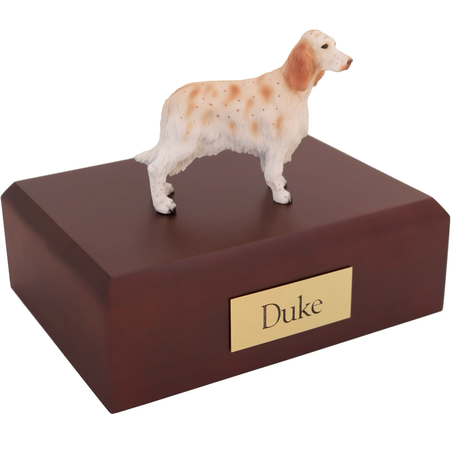 Standing orange belton english setter dog figurine on wood cremation urn