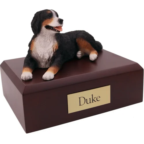 Laying Bernese Mountain Dog dog figurine on wood cremation urn