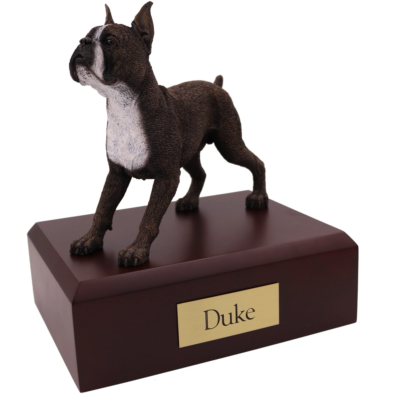Brindle ears up Boxer dog figurine on wood cremation urn