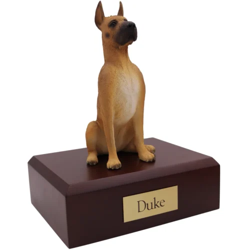 Sitting ears up fawn Great Dane dog figurine on wood cremation urn