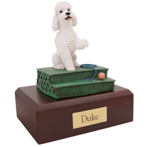 Sitting white sport cut Poodle dog figurine on wood cremation urn