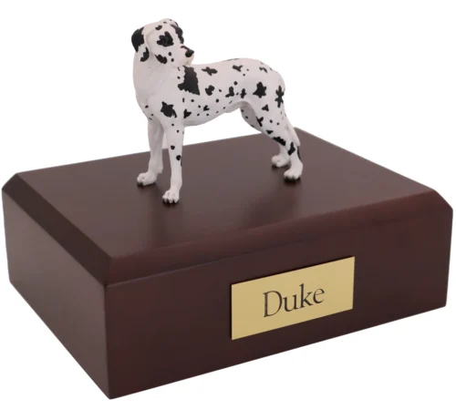 Standing harlequin ears down Great Dane dog figurine on wood cremation urn