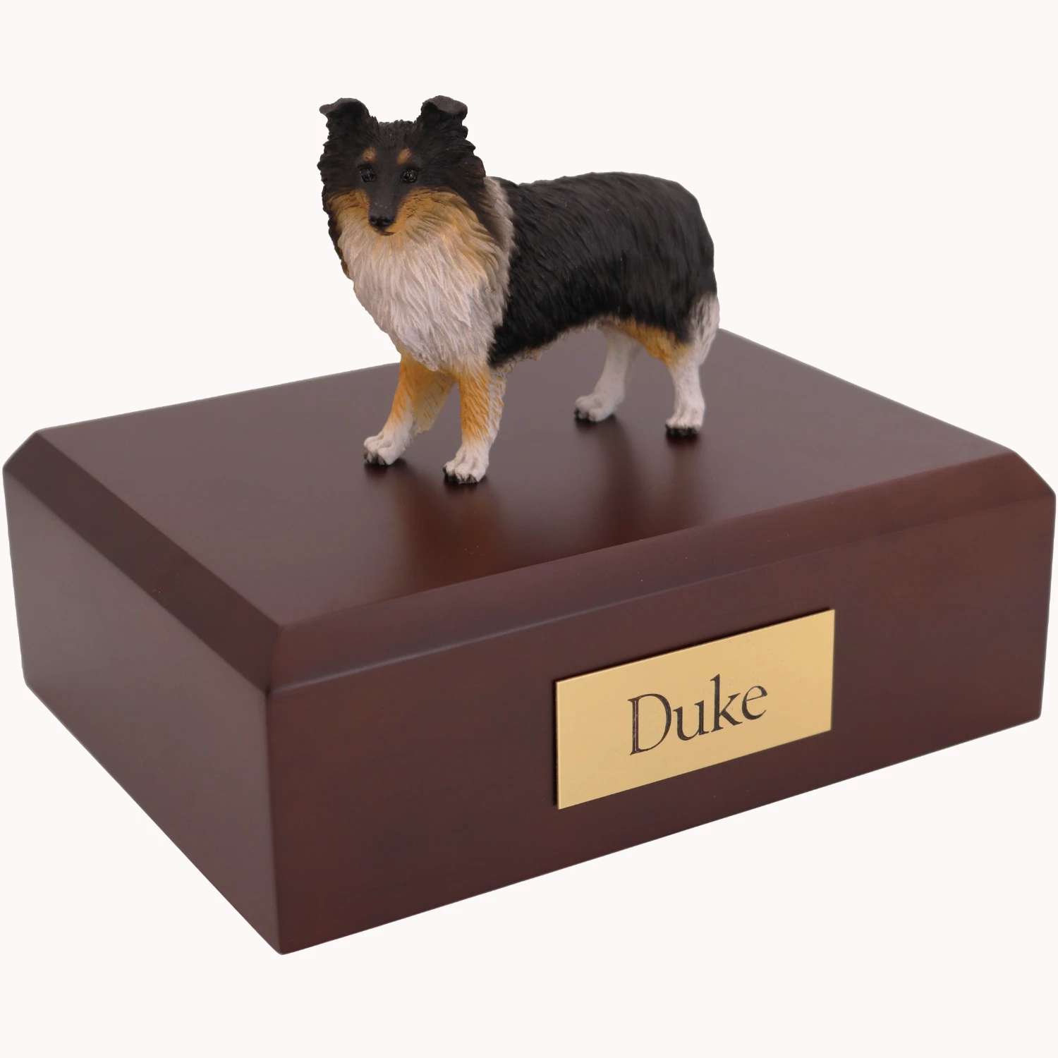 Standing tri-color Sheltie Shetland Sheepdog dog figurine on wood cremation urn
