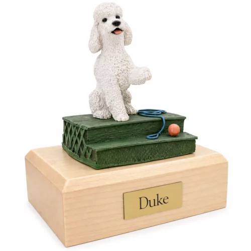 Memorial cremation urn with sitting white sport cut Poodle dog figurine, maple finish