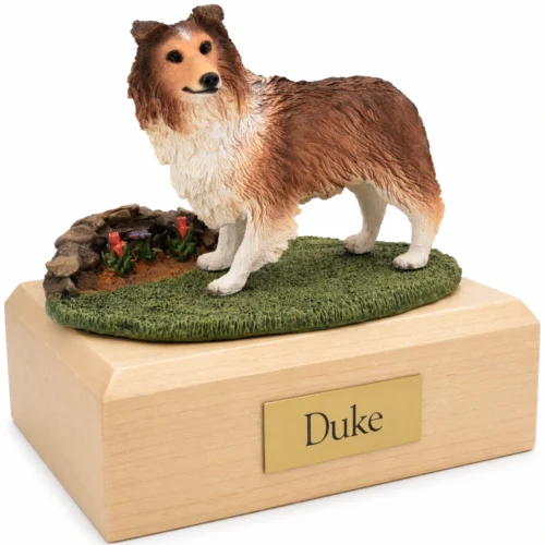 Memorial cremation urn with standing sable Shetland Sheepdog (sheltie) dog figurine, maple finish
