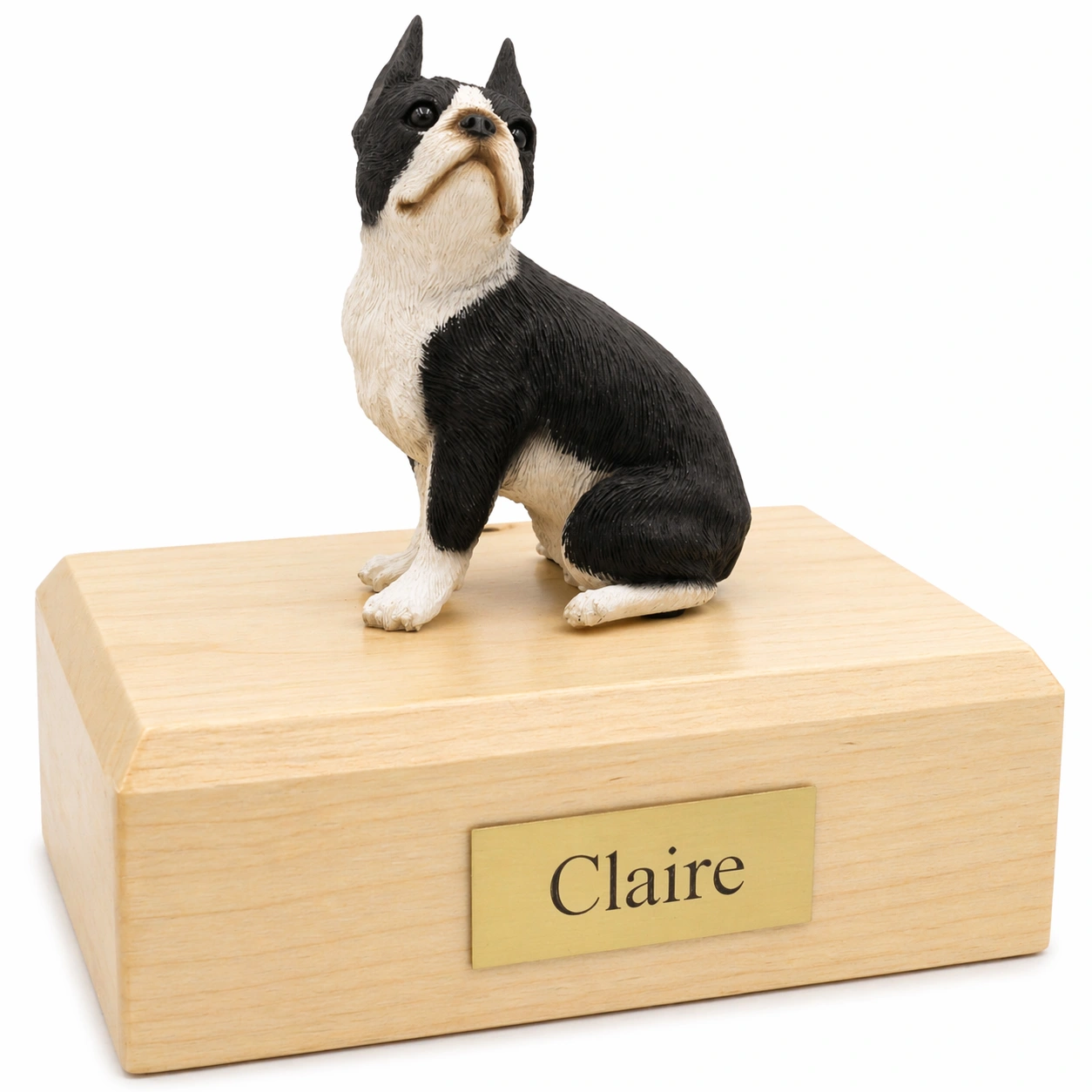 Memorial cremation urn with sitting black and white Boston Terrier dog figurine, maple finish