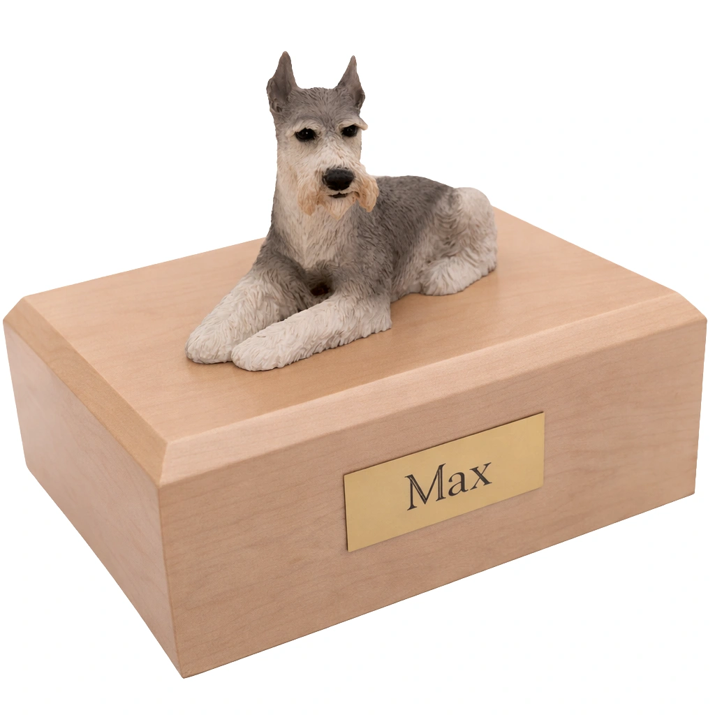 Memorial cremation urn with laying ears up tari Schnauzer dog figurine, maple finish