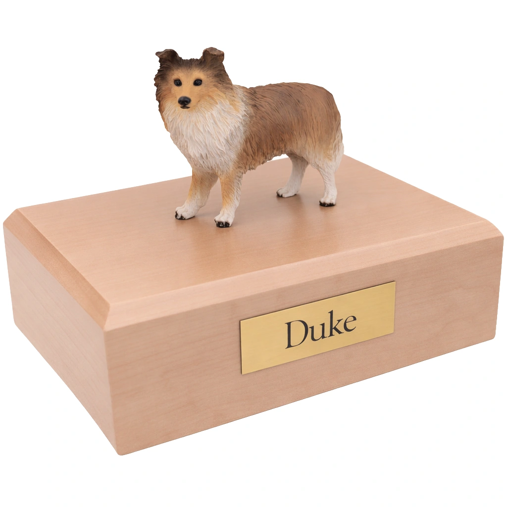 Memorial cremation urn with standing sable Sheltie Shetland Sheepdog dog figurine, maple finish