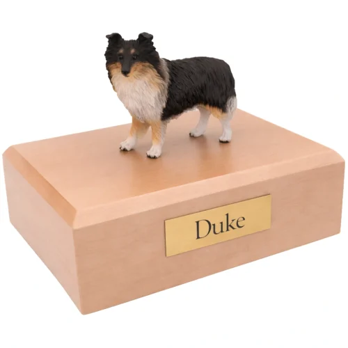 Memorial cremation urn with standing tri-color Sheltie Shetland Sheepdog dog figurine, maple finish