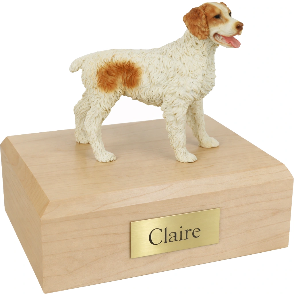 Memorial cremation urn with standing brown and white Brittany Spaniel dog figurine, maple finish