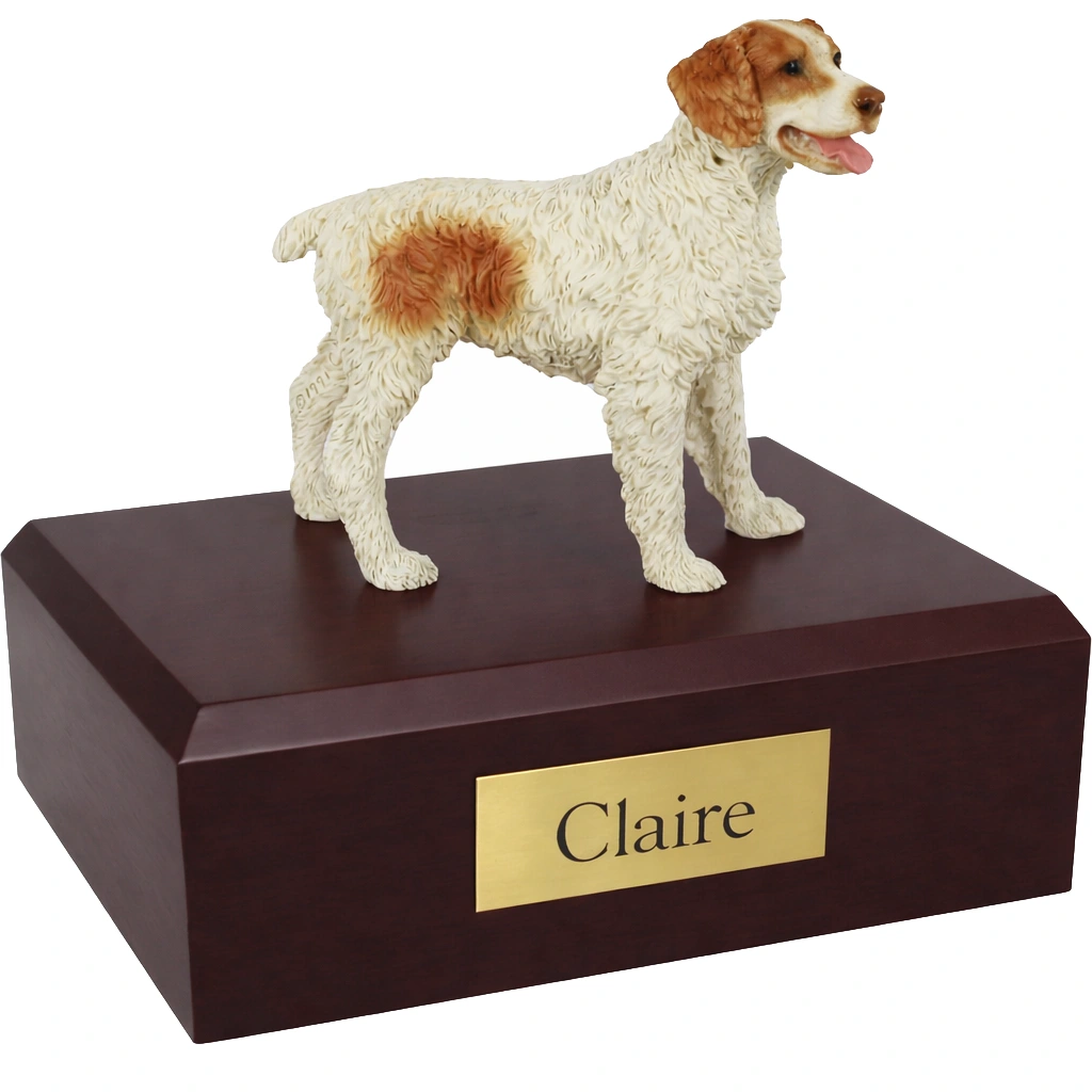 Memorial cremation urn with standing brown and white Brittany Spaniel dog figurine, walnut finish