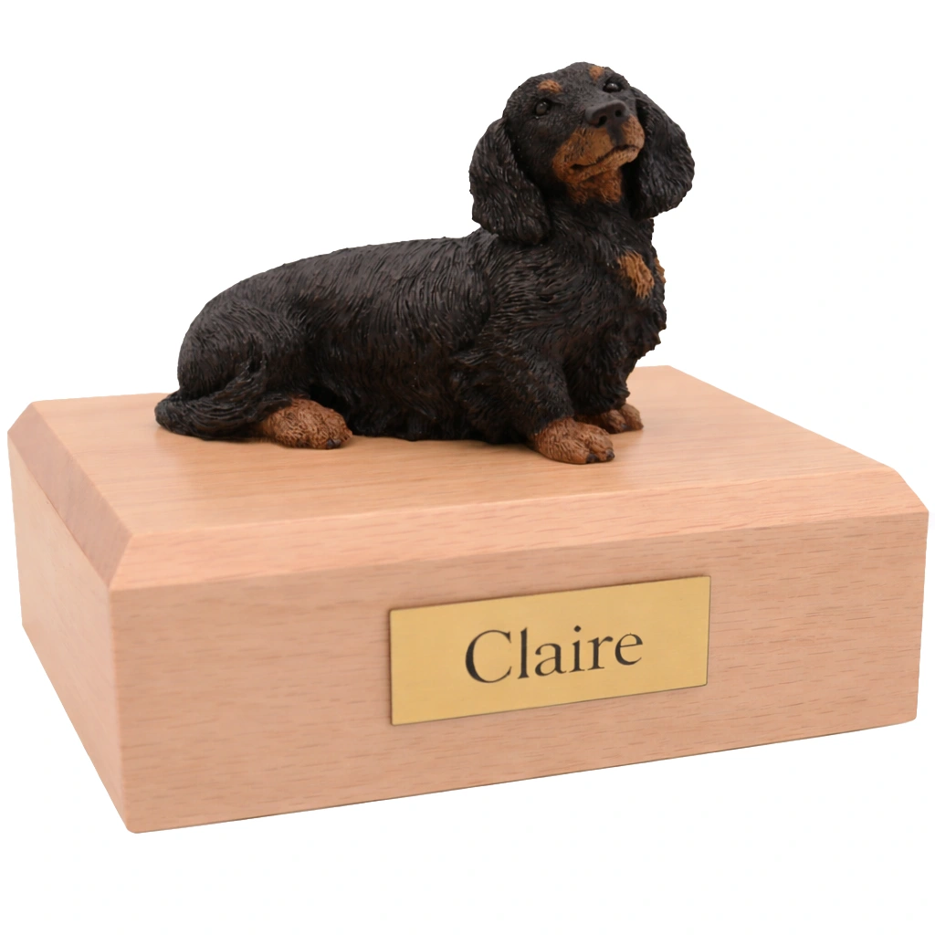 Memorial cremation urn with sitting long haired black Dachshund dog figurine, maple finish