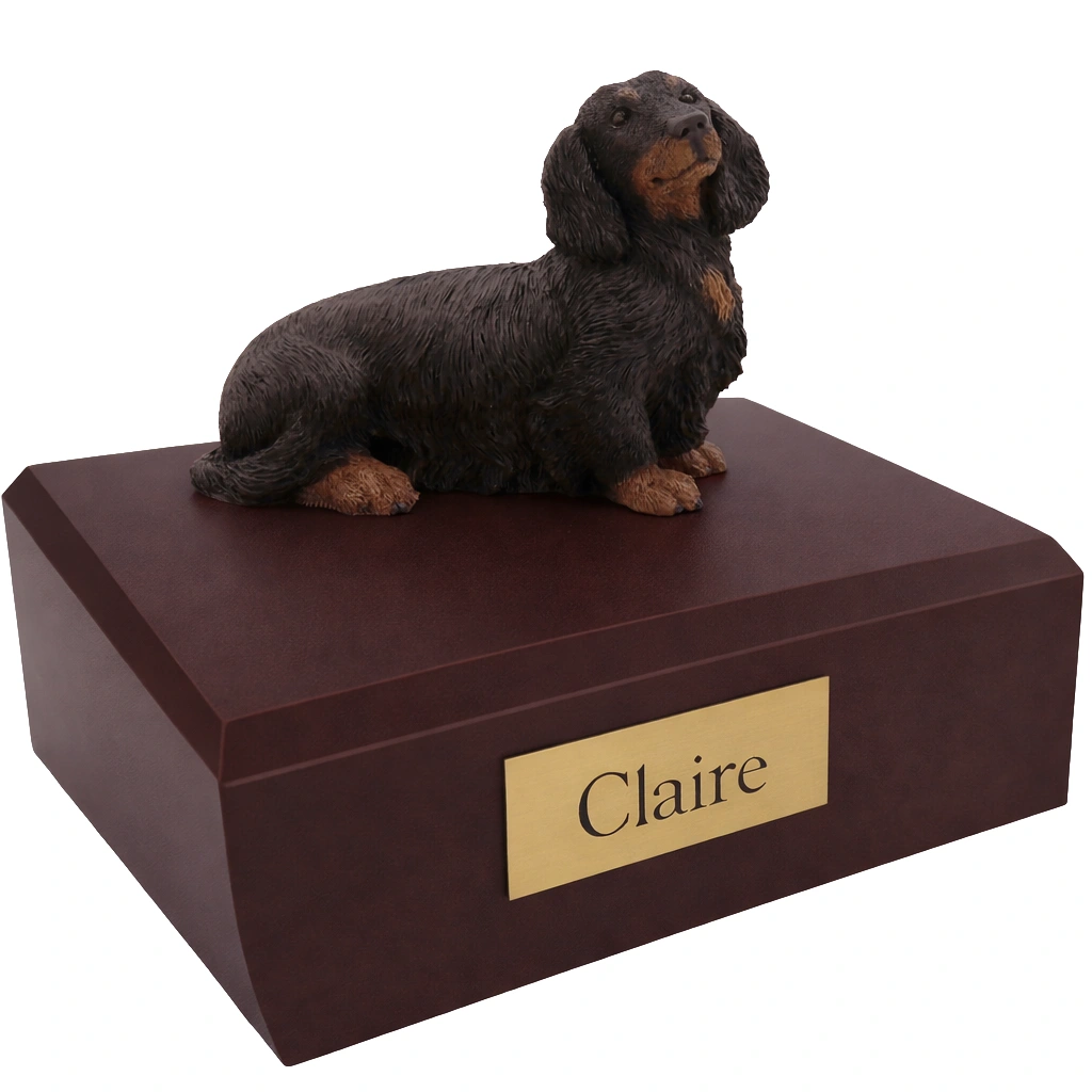 Memorial cremation urn with sitting long haired black Dachshund dog figurine, walnut finish