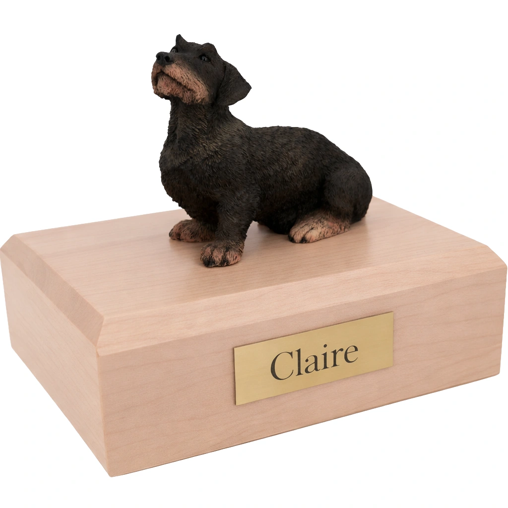 Memorial cremation urn with sitting long haired black Dachshund dog figurine, maple finish