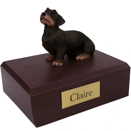 Memorial cremation urn with sitting long haired black Dachshund dog figurine, walnut finish