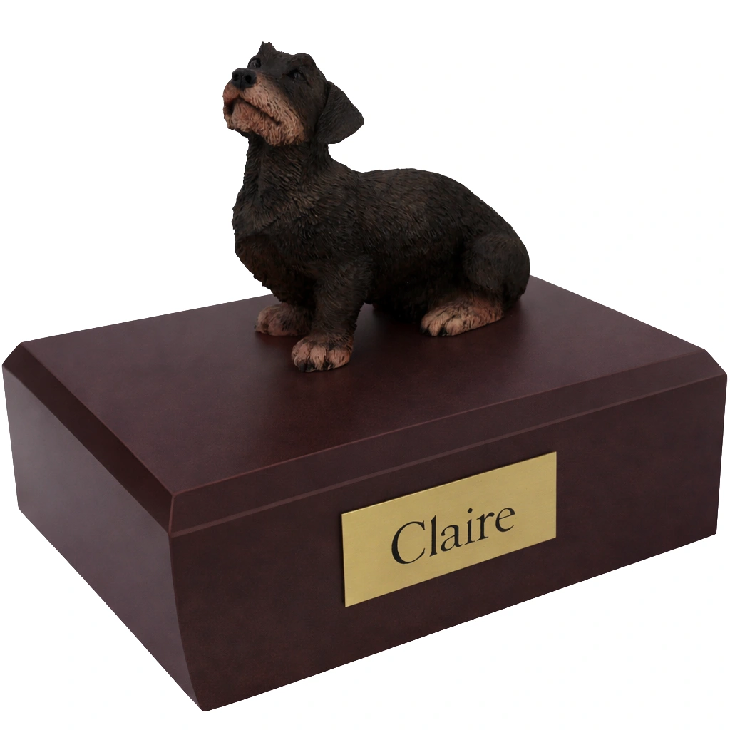 Memorial cremation urn with sitting long haired black Dachshund dog figurine, walnut finish