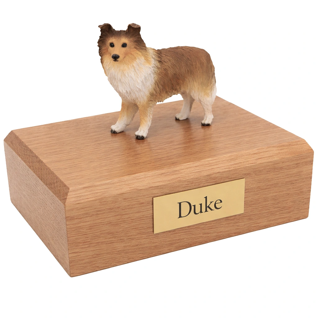 Memorial cremation urn with standing sable Sheltie Shetland Sheepdog dog figurine, oak finish
