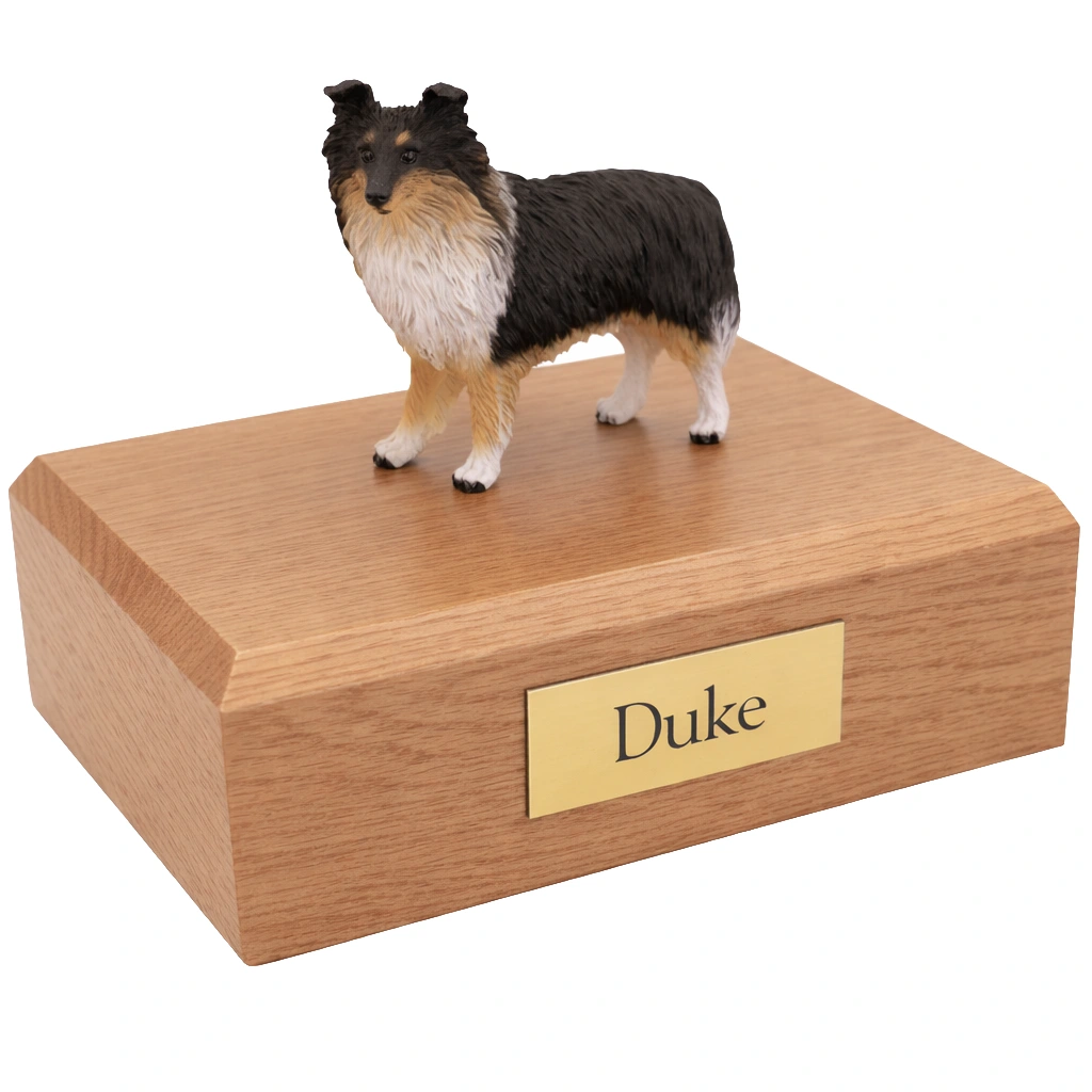 Memorial cremation urn with standing tri-color Sheltie Shetland Sheepdog dog figurine, oak finish