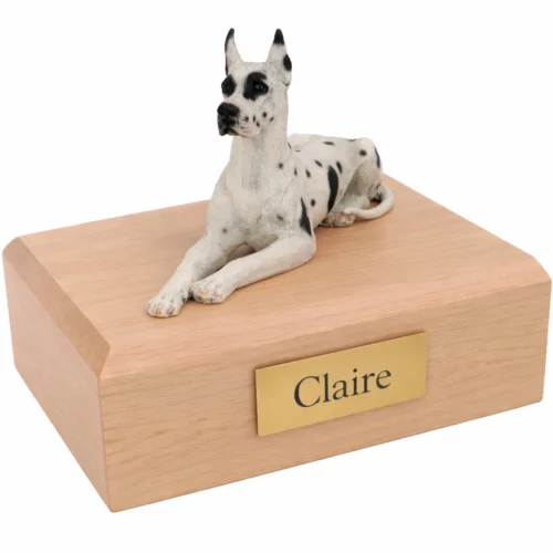 Memorial cremation urn with laying ears up harlequin Great Dane dog figurine, maple finish