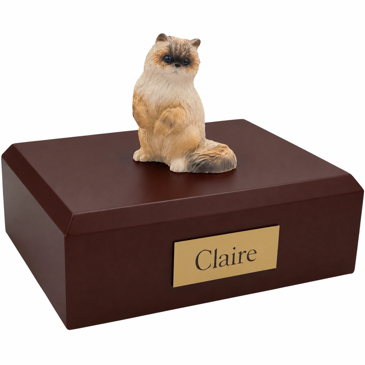 Memorial cremation urn with sitting Ragdoll cat figurine, walnut finish