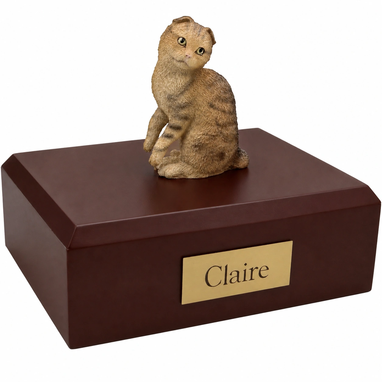 Memorial cremation urn with sitting brown tabby Scottish Fold cat figurine, walnut finish