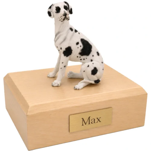 Memorial cremation urn with sitting harlequin Great Dane dog figurine, maple finish