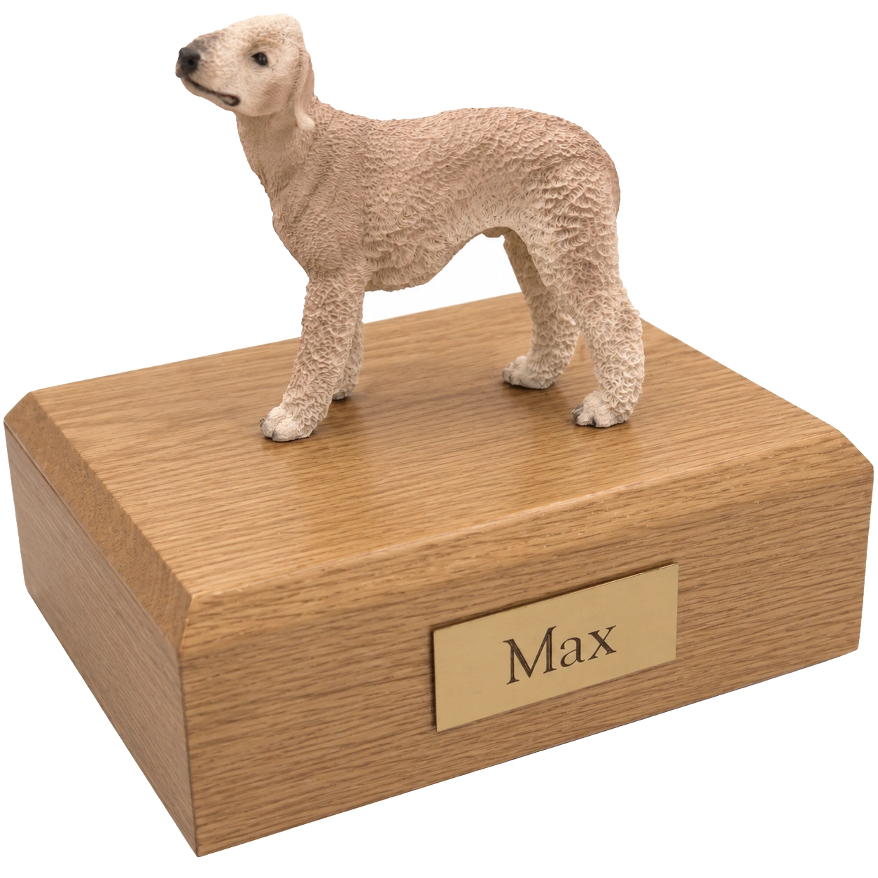 Memorial cremation urn with standing tan Bedlington Terrier dog figurine, maple finish