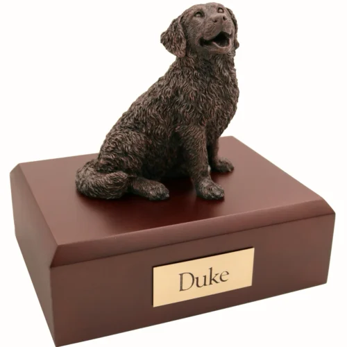 Bronze look Bernese Mountain Dog figurine walnut wood memorial cremation urn