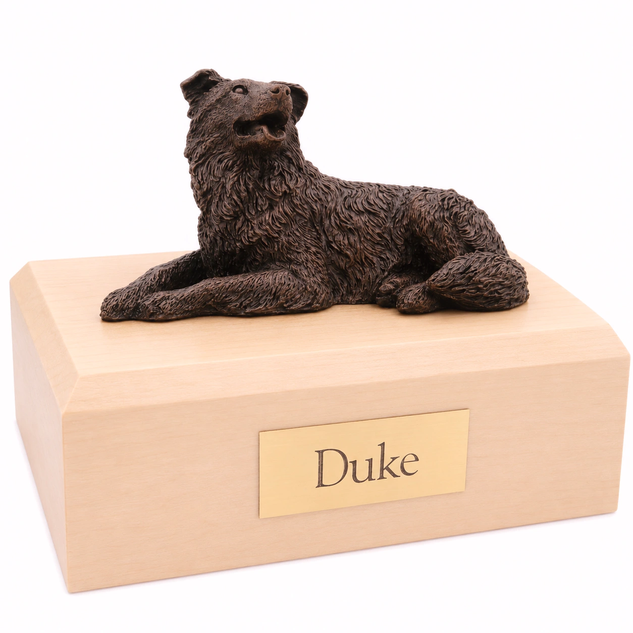 Bronze look laying Border Collie dog figurine maple wood memorial cremation urn