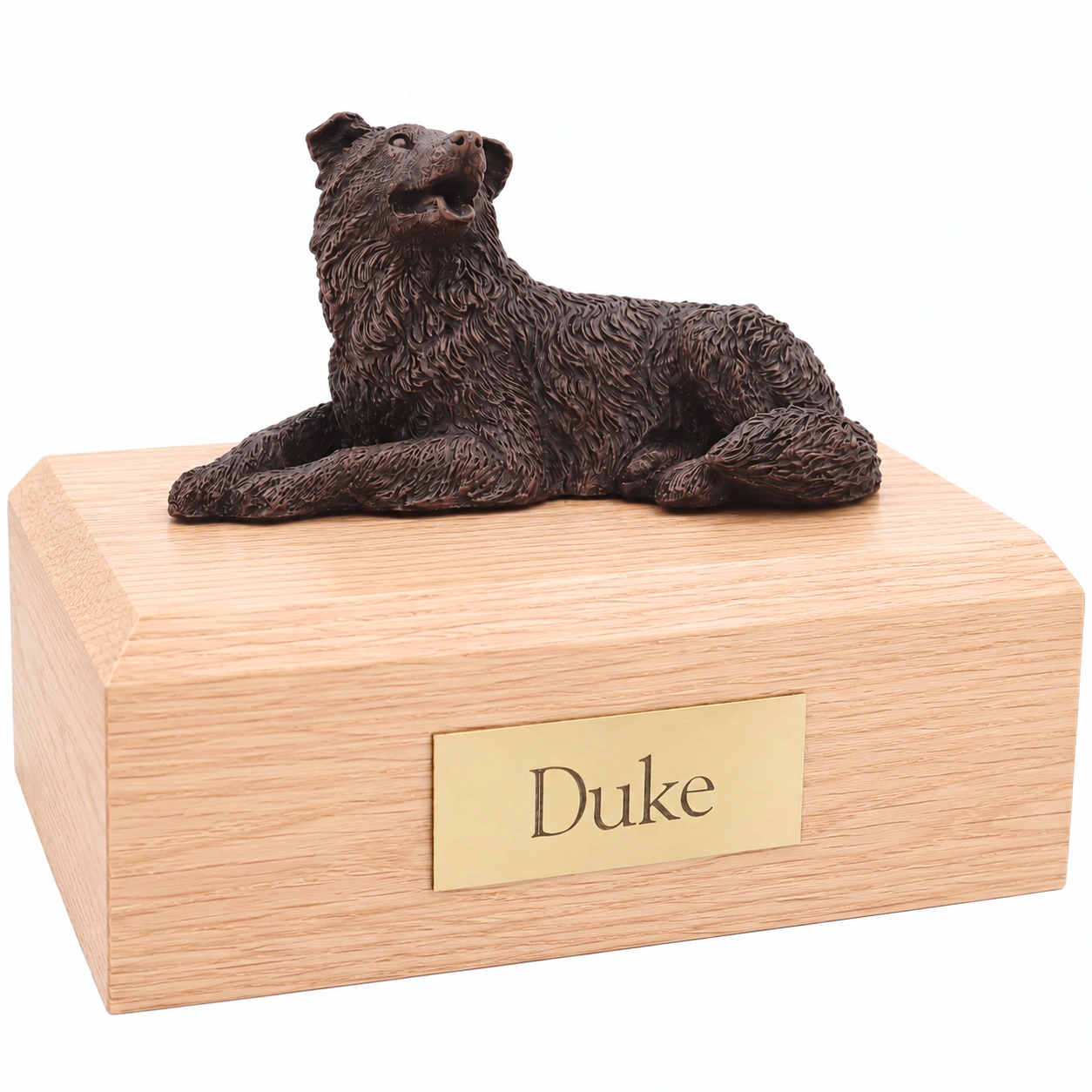 Bronze look laying Border Collie dog figurine oak wood memorial cremation urn