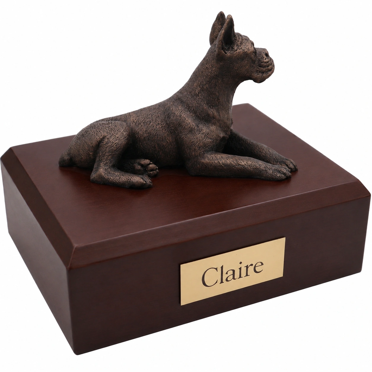 Bronze look laying ears up Boxer dog figurine walnut wood memorial cremation urn