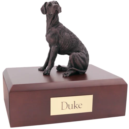 Bronze look sitting Great Dane dog figurine walnut wood memorial cremation urn