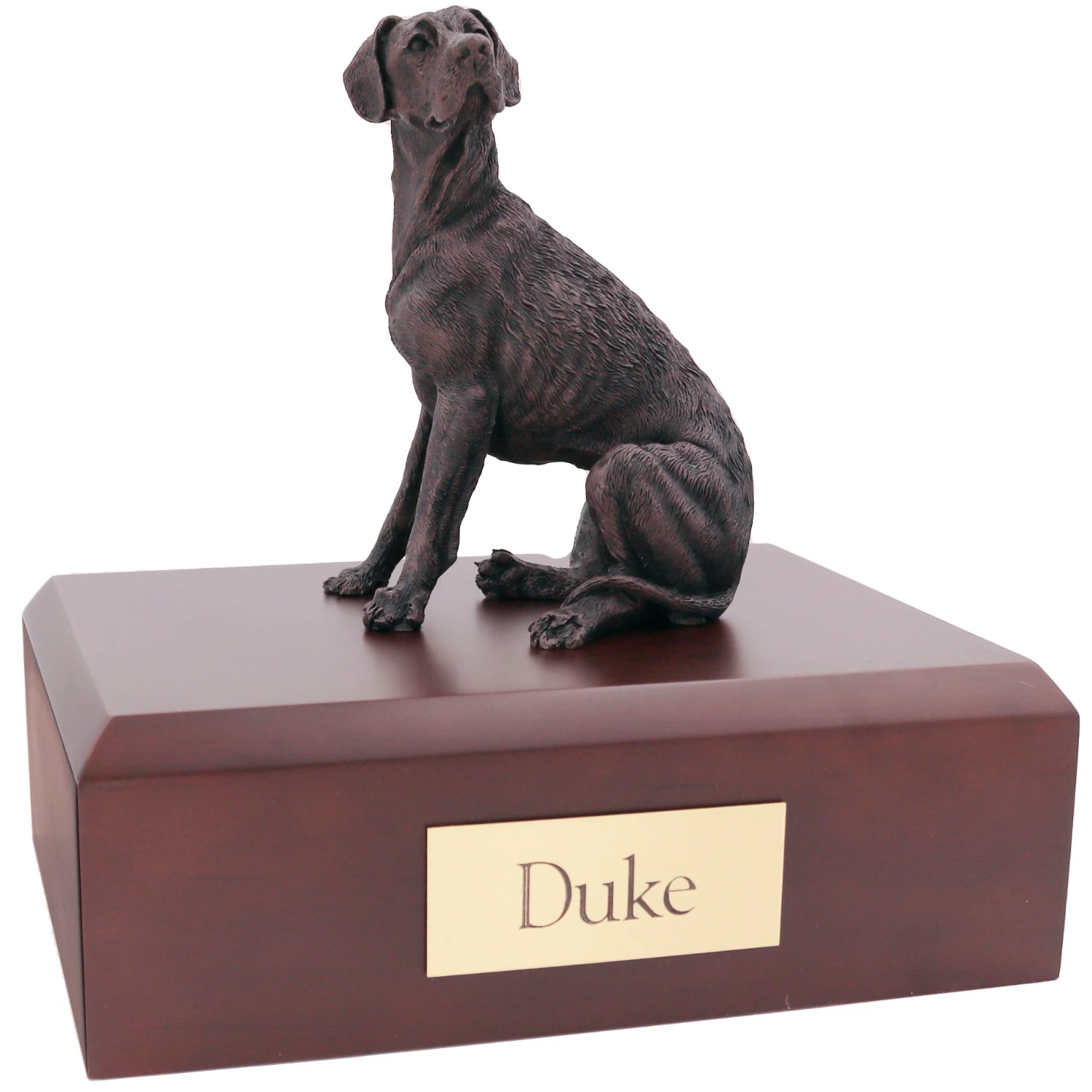 Bronze look sitting Great Dane dog figurine walnut wood memorial cremation urn