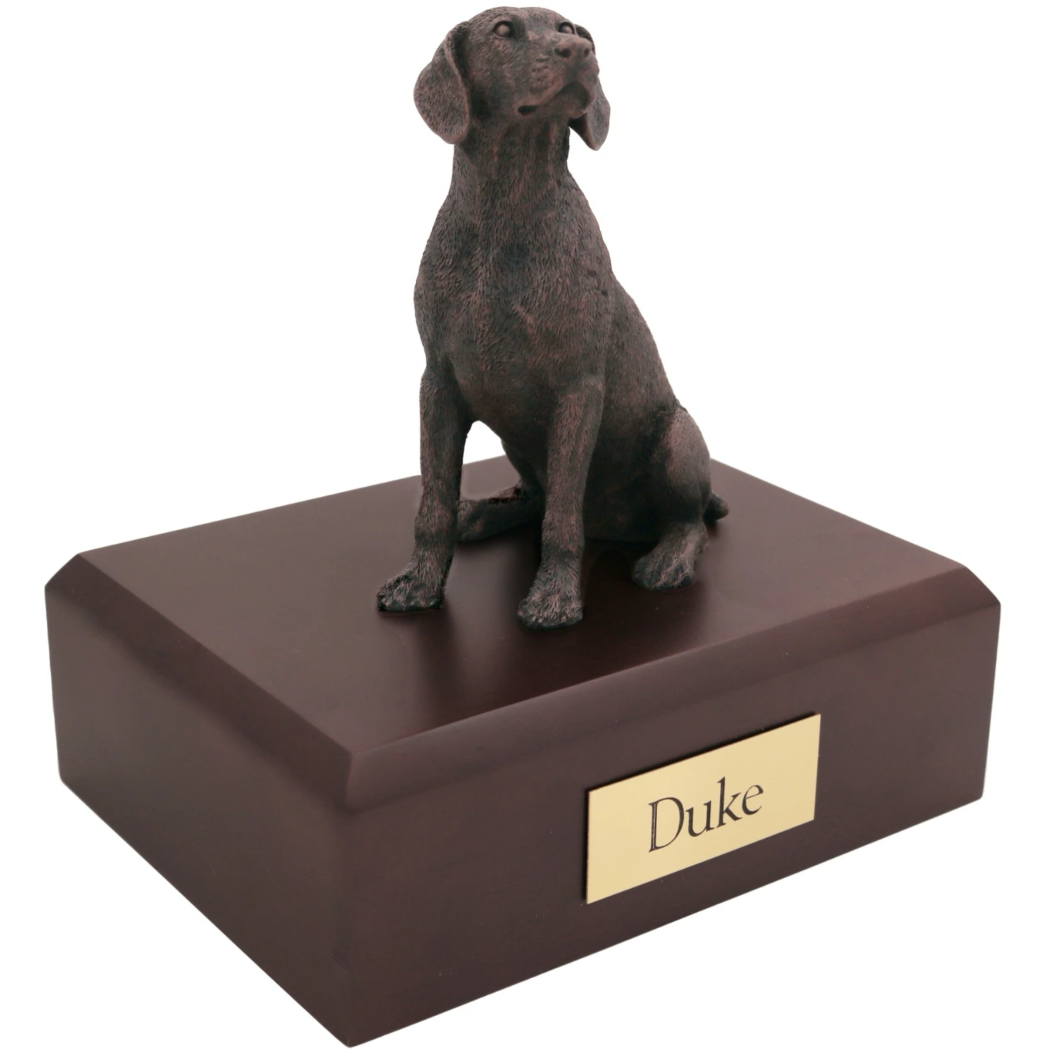 Bronze look sitting Weimaraner dog figurine walnut wood memorial cremation urn